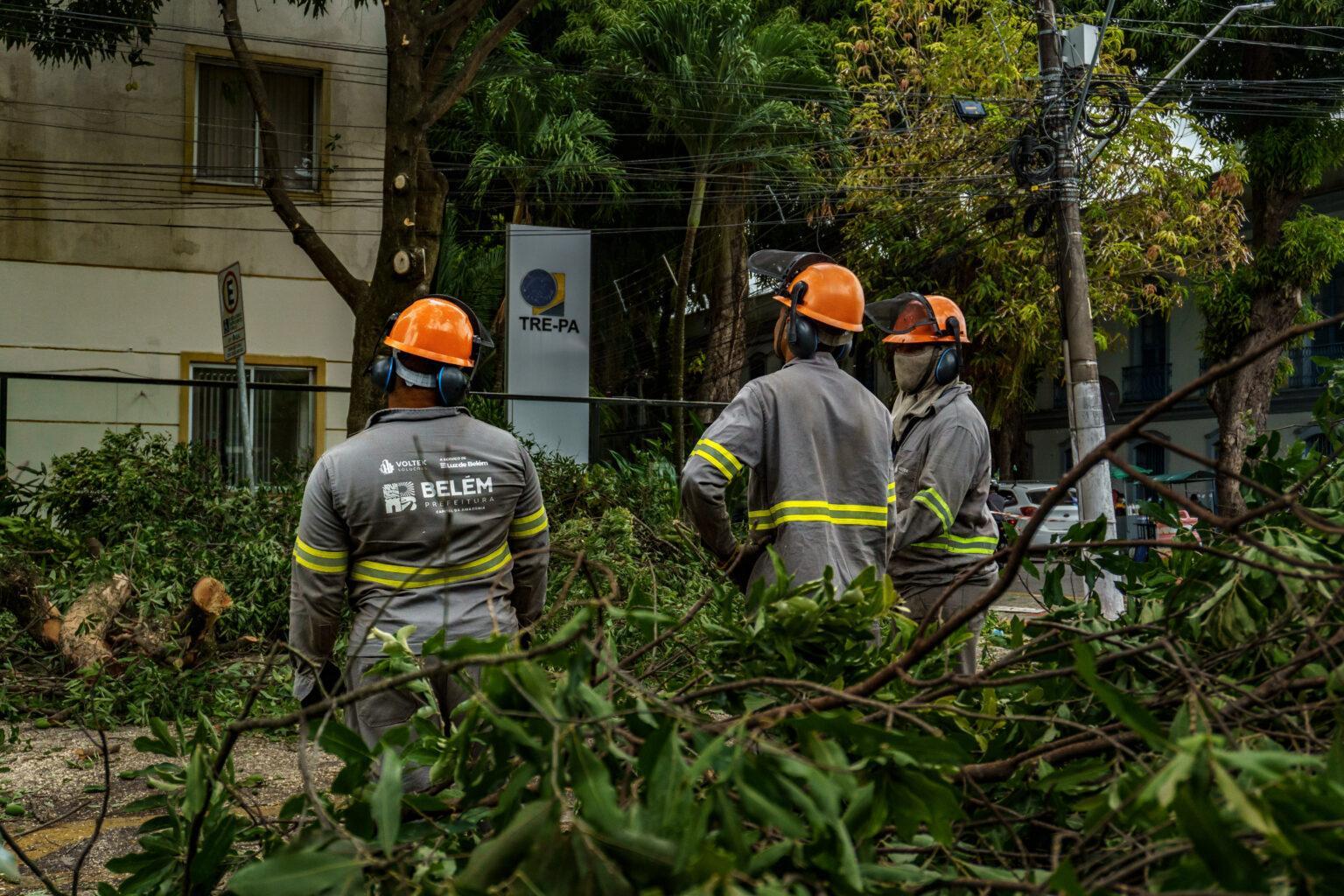 Trabalhadores da Prefeitura de Belém trabalham na poda de árvores nas principais avenidas por onde o Círio irá passar.